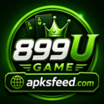 899U Game