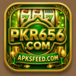 PKR656.COM